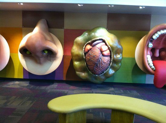 Children's Museum Tucson